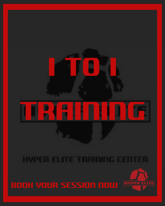 1:1 Training Sessions